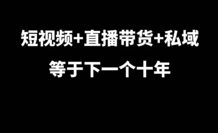 短视频+直播带货+私域等于下一个十年，大佬7年实战经验总结-副业网