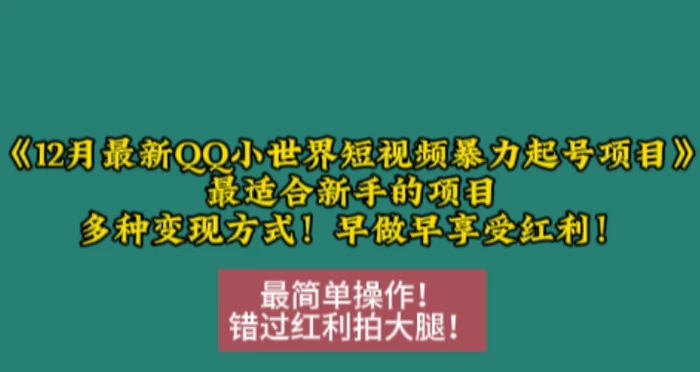 12月最新QQ小世界短视频暴力起号项目，最适合新手的项目，多种变现方式-副业网