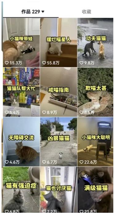 图片[3]-拆解抖音盘点类中视频变现副业项目，视频版一条龙大解析分享给你【视频课程】-副业网