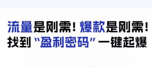 电商盈利精品课：6大盈利密码让产品更好卖，流量是刚需！爆款是刚需！找到”盈利密码”一键起爆-副业网