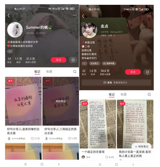 图片[3]-AI批量制造小红书爆款笔记+小红书无货源，玩法一条龙实操，小白也能轻松日入500+【揭秘】-副业网