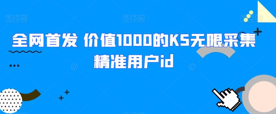 全网首发 价值1000的KS无限采集精准用户id-副业网