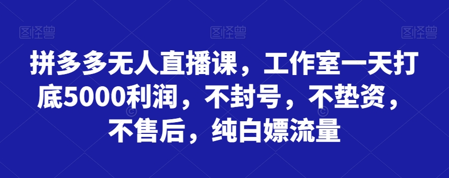 拼多多无人直播课，工作室一天打底5000利润，不封号，不垫资，不售后，纯白嫖流量-副业网
