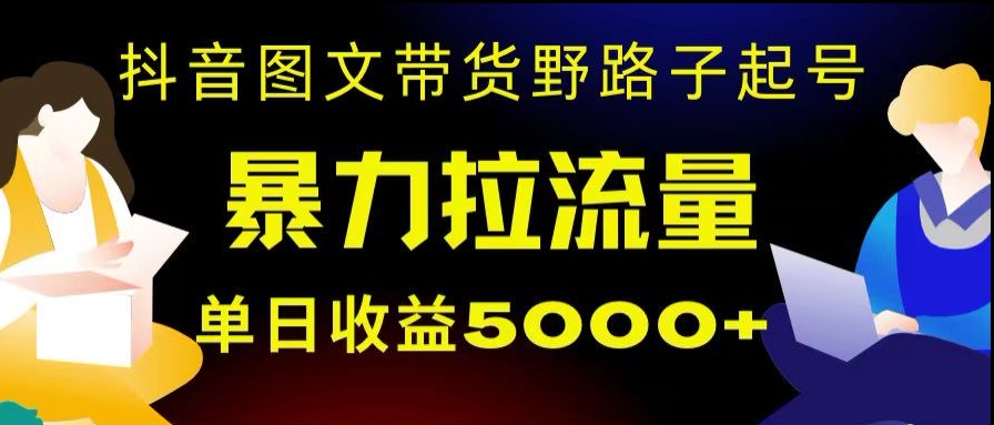 抖音图文带货暴力起号，单日收益5000+，野路子玩法，简单易上手，一部手机即可【揭秘】-副业网