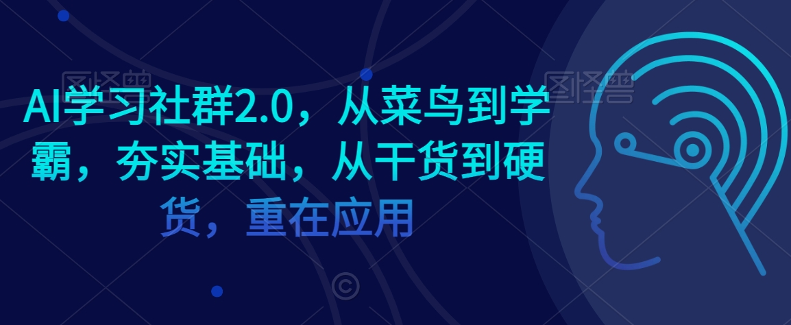 AI学习社群2.0，从菜鸟到学霸，夯实基础，从干货到硬货，重在应用-副业网