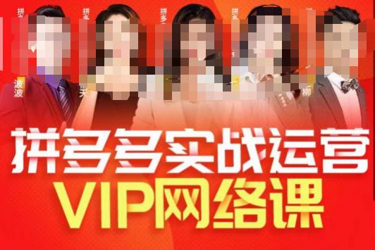 推易拼多多VIP全套直播课程，拼多多店铺实操玩法+实战玩法选款内功+直通车高阶等-副业网