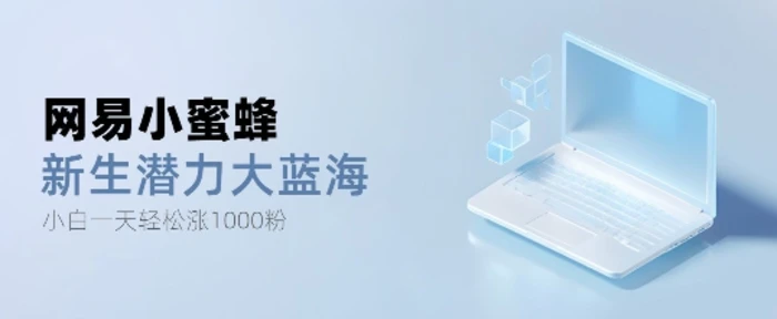 网易小蜜蜂，最新大蓝海项目，单日轻松日涨千粉-副业网