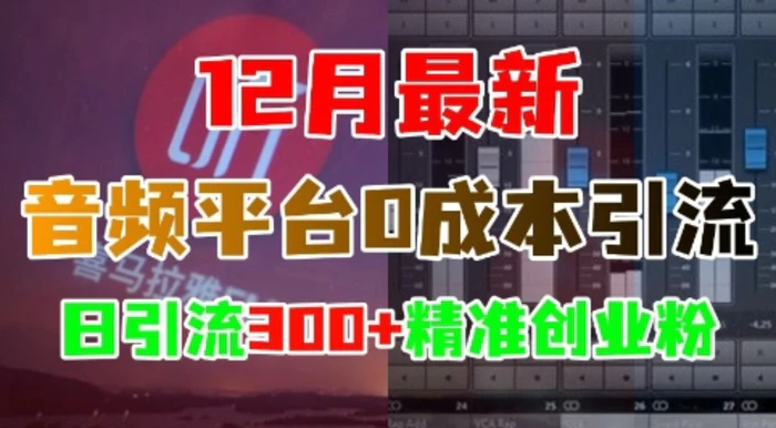 12月最新：音频平台0成本引流，日引流300+精准创业粉-副业网