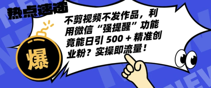 不剪视频不发作品，视频号私信日引 500 + 精准创业粉?实操即流量!-副业网