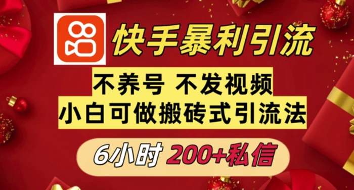 利用快手平台6小时不到200+私信，不发视频不养号-副业网