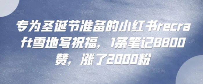 专为圣诞节准备的小红书recraft雪地写祝福，1条笔记8800赞，涨了2000粉-副业网
