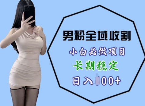 男粉项目全域收割，小白必做项目，长期稳定，稳定日入几张-副业网