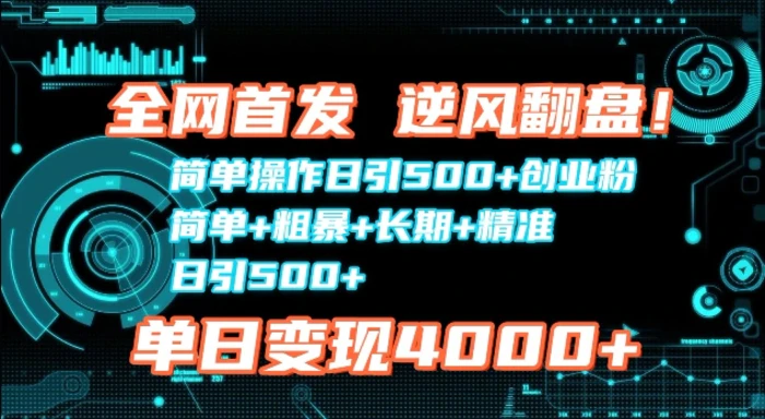 全网首发，简单操作日引500+创业粉，简单+粗暴+长期+精准-副业网