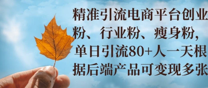 小投资撬动大收益，精准引流创业粉、行业粉，单日引流80+，一天可变现多张-副业网