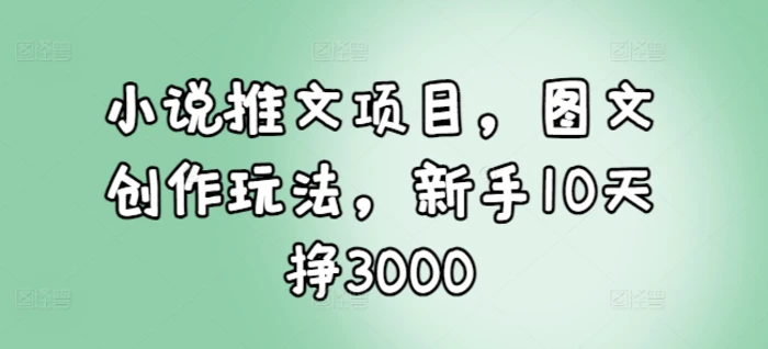 小说推文项目，图文创作玩法，新手10天挣3000-副业网