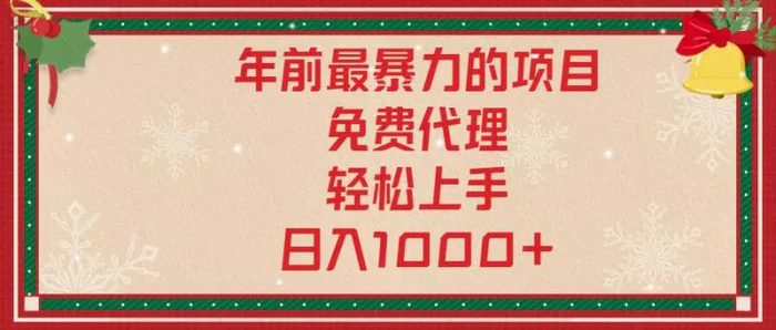 （13773期）年前最暴力的项目，免费代理，轻松上手，日入1000+-副业网