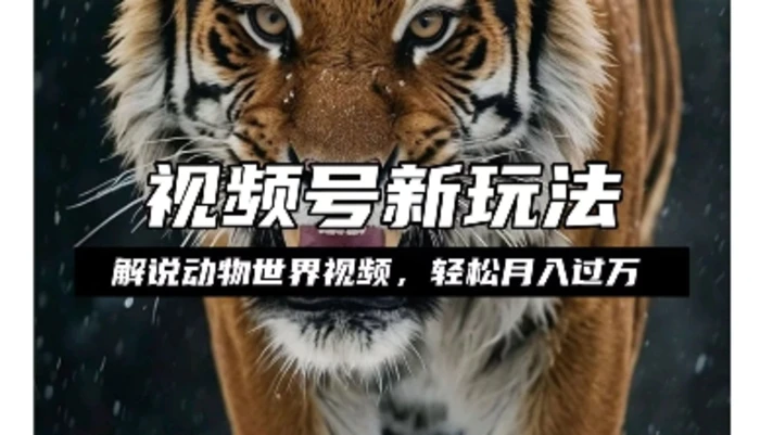 利用动物世界解说视频，赚分成计划收益，轻松月入过W，操作简单-副业网