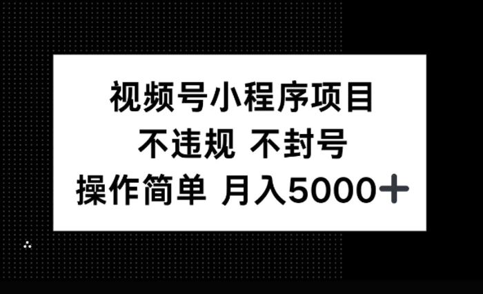 视频号小程序项目，不违规不封号，操作简单 月入5000+-副业网