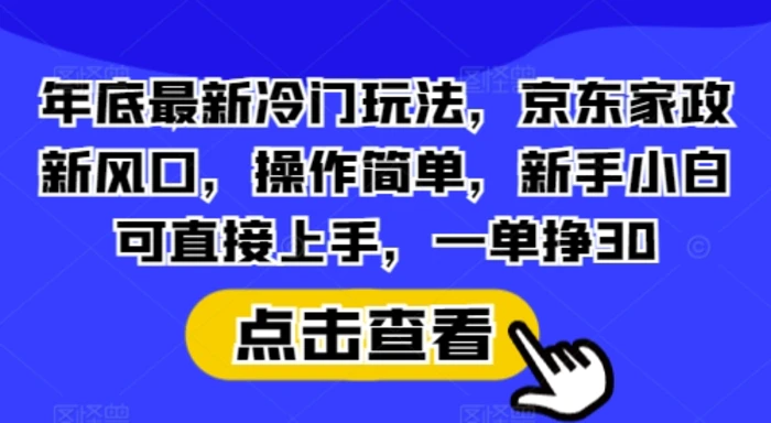 年底最新冷门玩法，京东家政新风口，操作简单，新手小白可直接上手，一单挣30【揭秘】-副业网