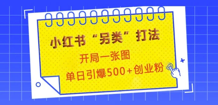 小红书“另类”打法，开局一张图，单日引爆500+精准创业粉【揭秘】-副业网