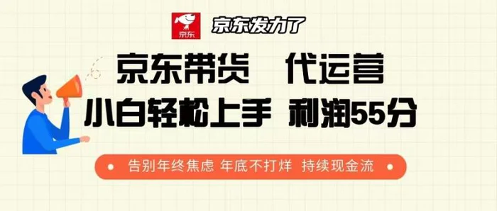 （13833期）京东带货 代运营 利润55分 告别年终焦虑 年底不打烊 持续现金流-副业网