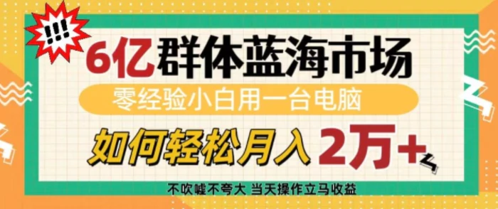 6亿群体蓝海市场，零经验小白用一台电脑，如何轻松月入过w-副业网