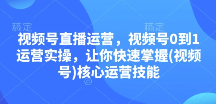 视频号直播运营，视频号0到1运营实操，让你快速掌握(视频号)核心运营技能-副业网