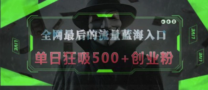 全网最后的流量蓝海入口，半小时引流50+创业粉，单日狂吸500+创业粉-副业网