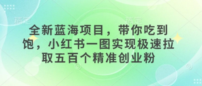 全新蓝海项目，带你吃到饱，小红书一图实现极速拉取五百个精准创业粉-副业网