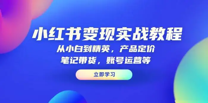 小红书变现实战教程：从小白到精英，产品定价，笔记带货，账号运营等-副业网