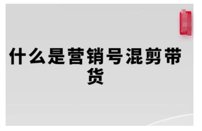 营销号混剪带货，从内容创作到流量变现的全流程，教你用营销号形式做混剪带货-副业网