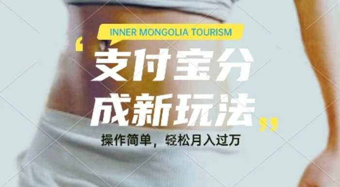 利用音乐综艺解说视频，挣支付宝分成收益，每天1-2小时，月入过W-副业网