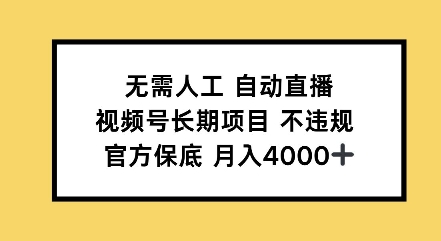 无需人工自动直播，视频号长期项目不违规，官方保底月入4000左右-副业网