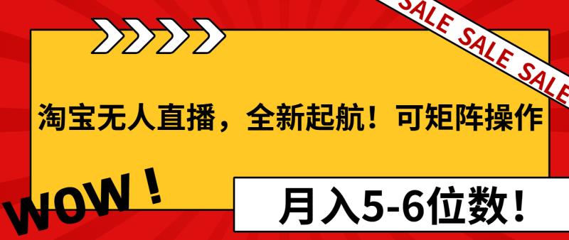 （13946期）淘宝无人直播，全新起航！可矩阵操作，月入5-6位数！-副业网