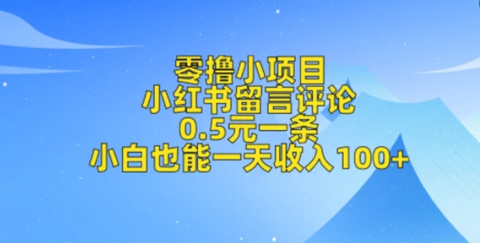 零撸小项目，小红书留言评论，0.5元一条，小白也能一天收入100+-副业网