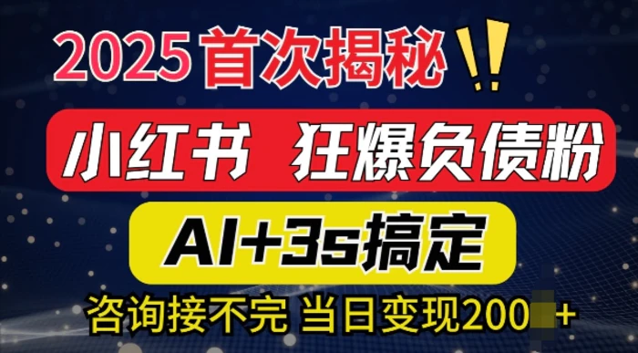 2025引流天花板：最新小红书狂暴负债粉思路，咨询接不断，当日入多张-副业网
