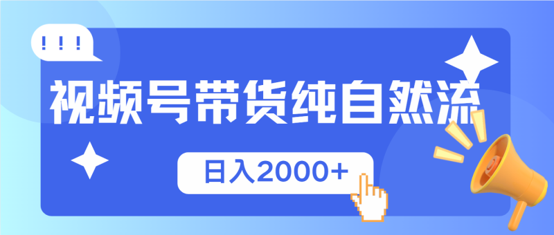 （13998期）视频号带货，纯自然流，起号简单，爆率高轻松日入2000+-副业网