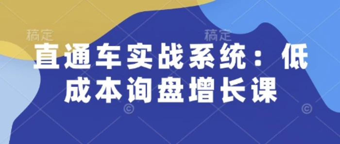 直通车实战系统：低成本询盘增长课，让个人通过技能实现升职加薪，让企业低成本获客，订单源源不断-副业网