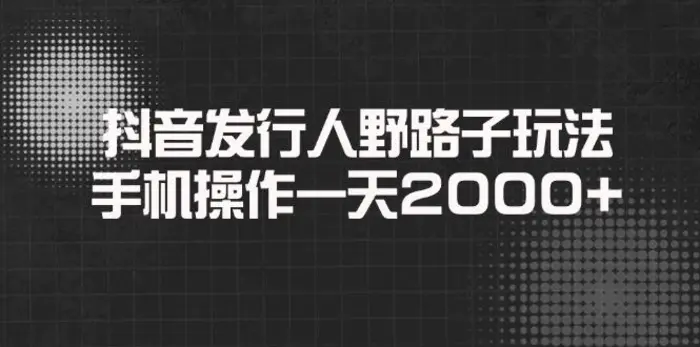 （14068期）抖音发行人野路子玩法，手机操作一天2000+-副业网