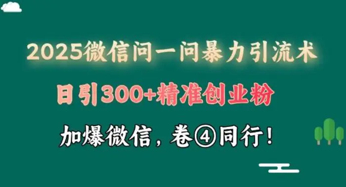 2025最新微信问一问暴力引流术揭秘，日引300+创业粉，单日变现四位数-副业网