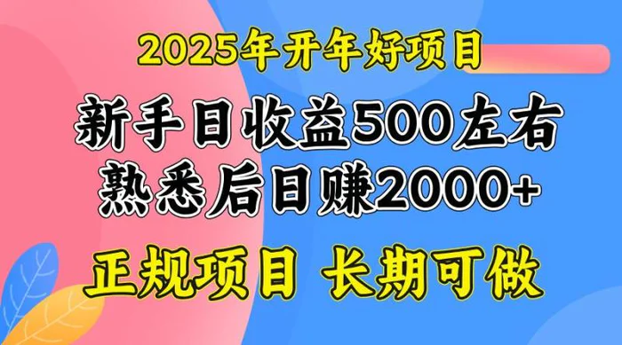 （14076期）2025开年好项目，单号日收益2000左右-副业网