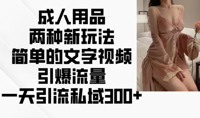 成人用品两种新玩法，简单的文字视频引爆流量，一天引流私域300+-副业网