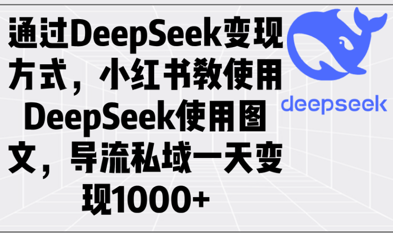 （14179期）通过DeepSeek变现方式，小红书教使用DeepSeek图文，导流私域一天变现1000+-副业网
