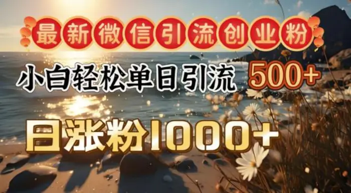 最新微信引流创业粉，小白单日轻松引流500+，日涨粉1000+-副业网