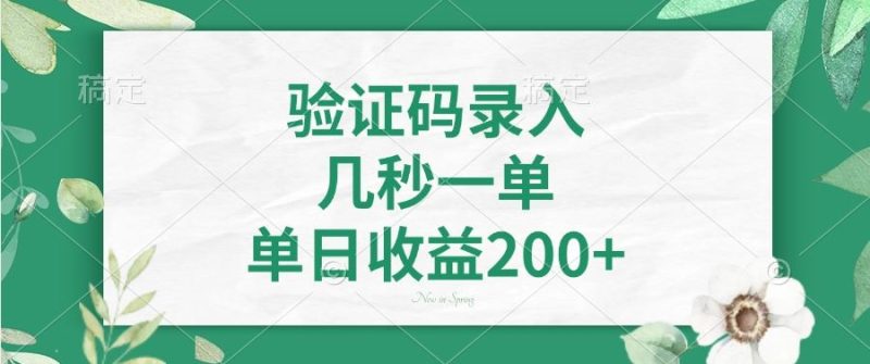 （14221期）验证码录入，几秒一单，单日收益200+-副业网