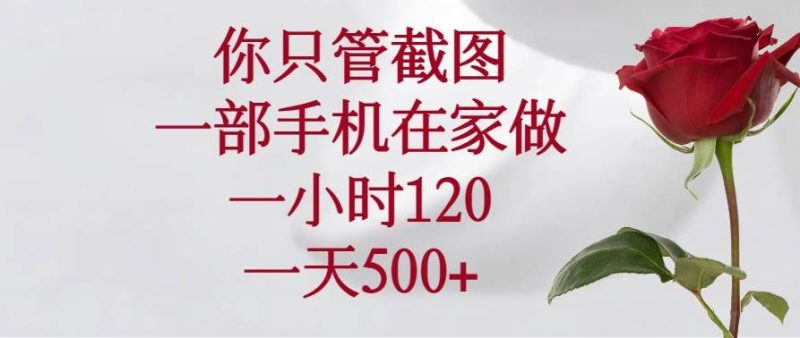 （14248期）你只管截图，一部手机在家做，一小时120，一天500+-副业网