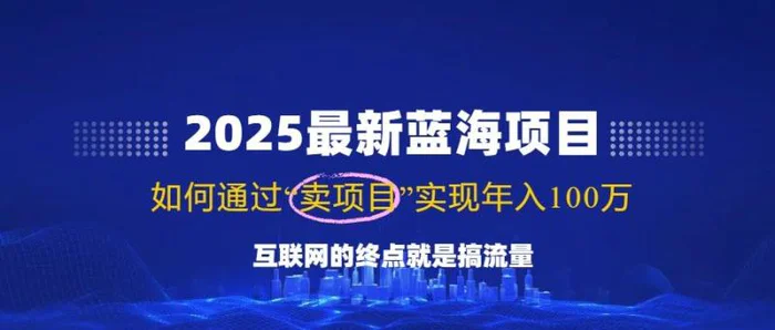 （14305期）2025最新蓝海项目，零门槛轻松复制，月入10万+，新手也能操作！-副业网