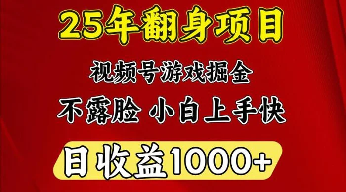一天收益1000+ 25年开年落地好项目-副业网
