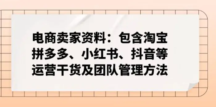 （14354期）电商卖家资料：包含淘宝、拼多多、小红书、抖音等运营干货及团队管理方法-副业网