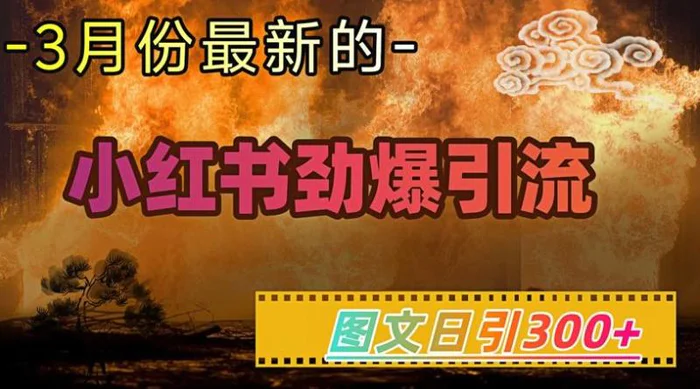 小红书超劲爆引流手段，图文日引300+轻松变现1W-副业网